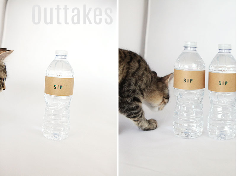 Sip water bottle cardstock label for guest tray