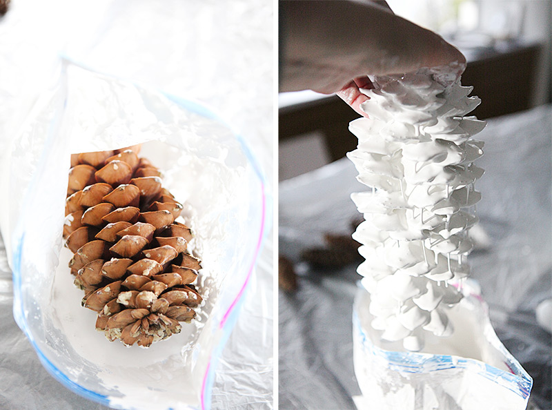 White washed pine cones with tassles