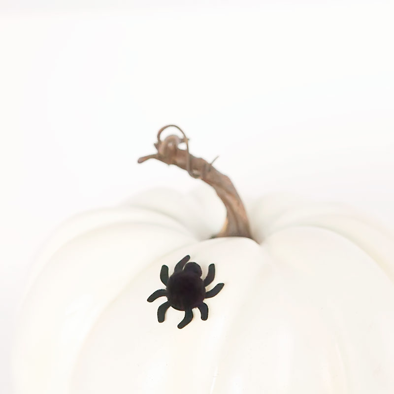 Halloween pom pom spiders